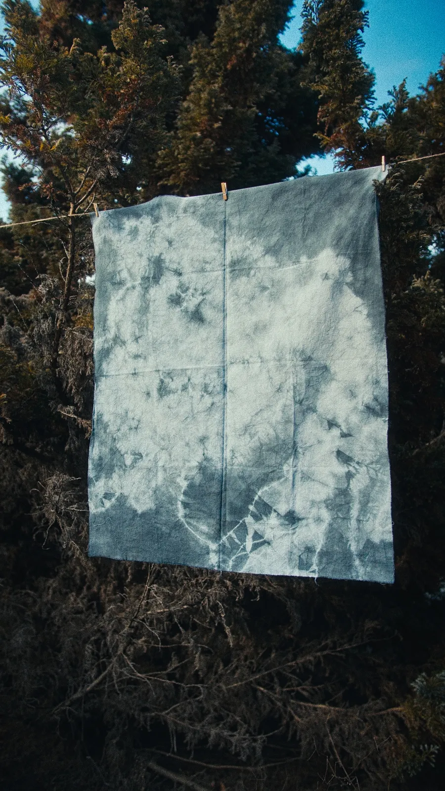 70x81