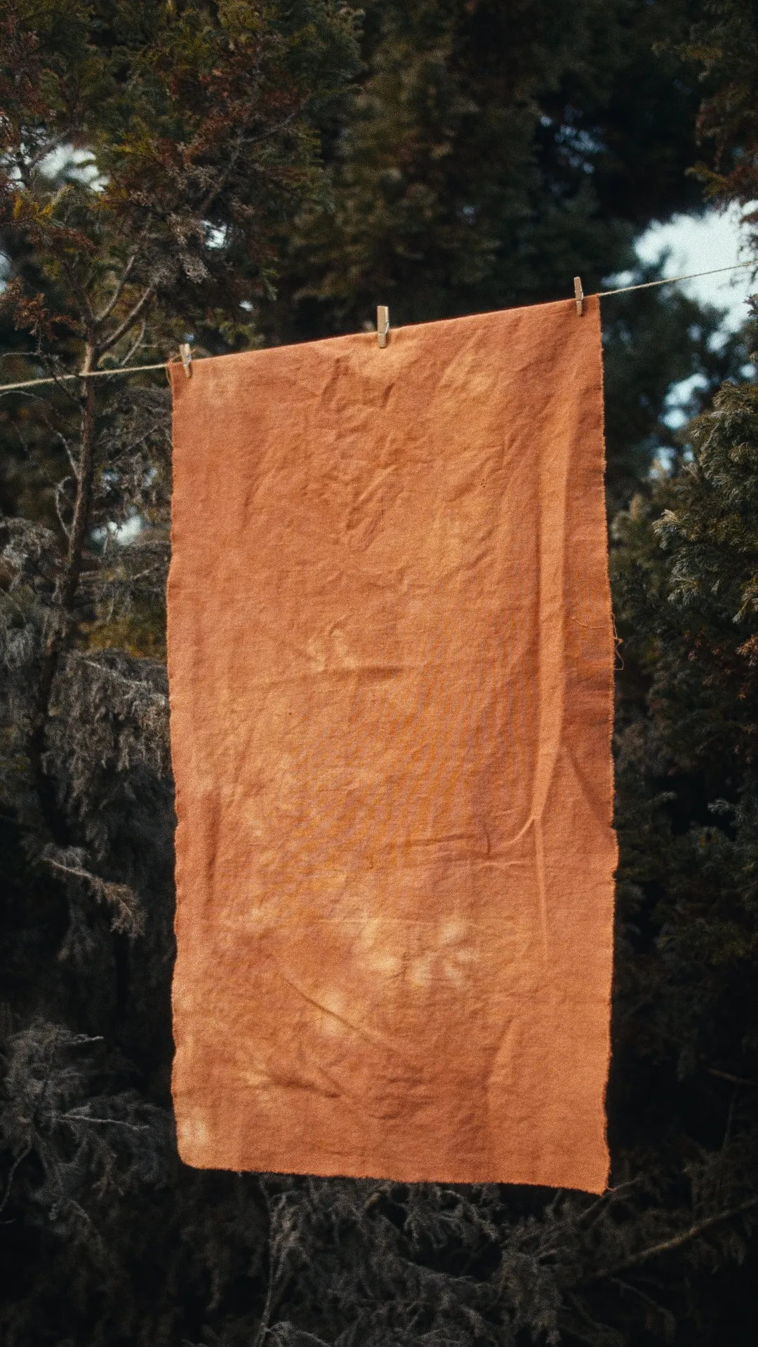41x75