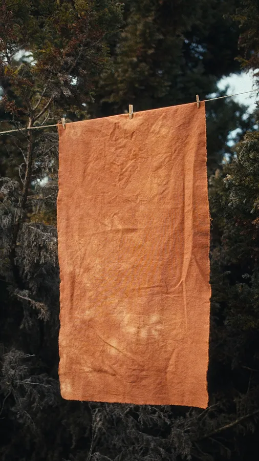 41x75