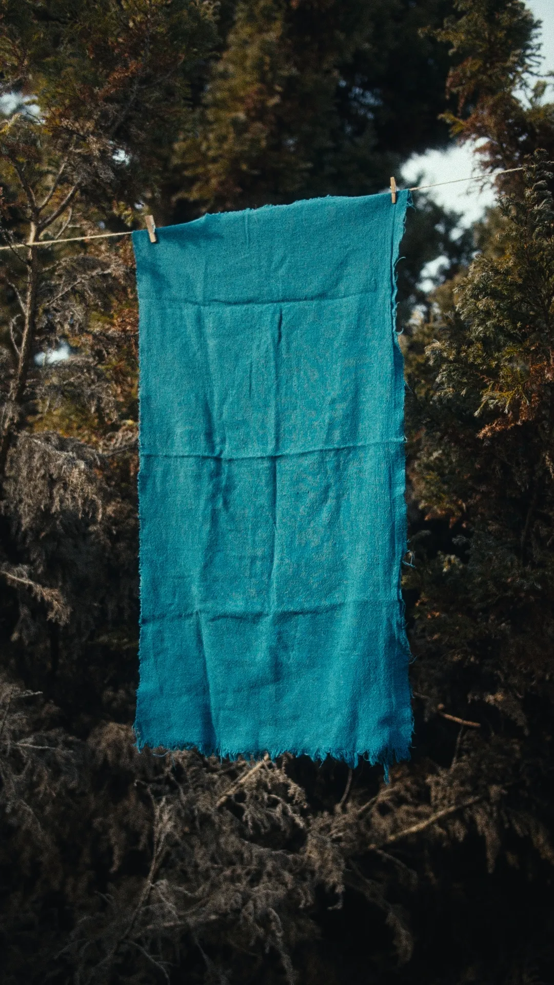 39x72