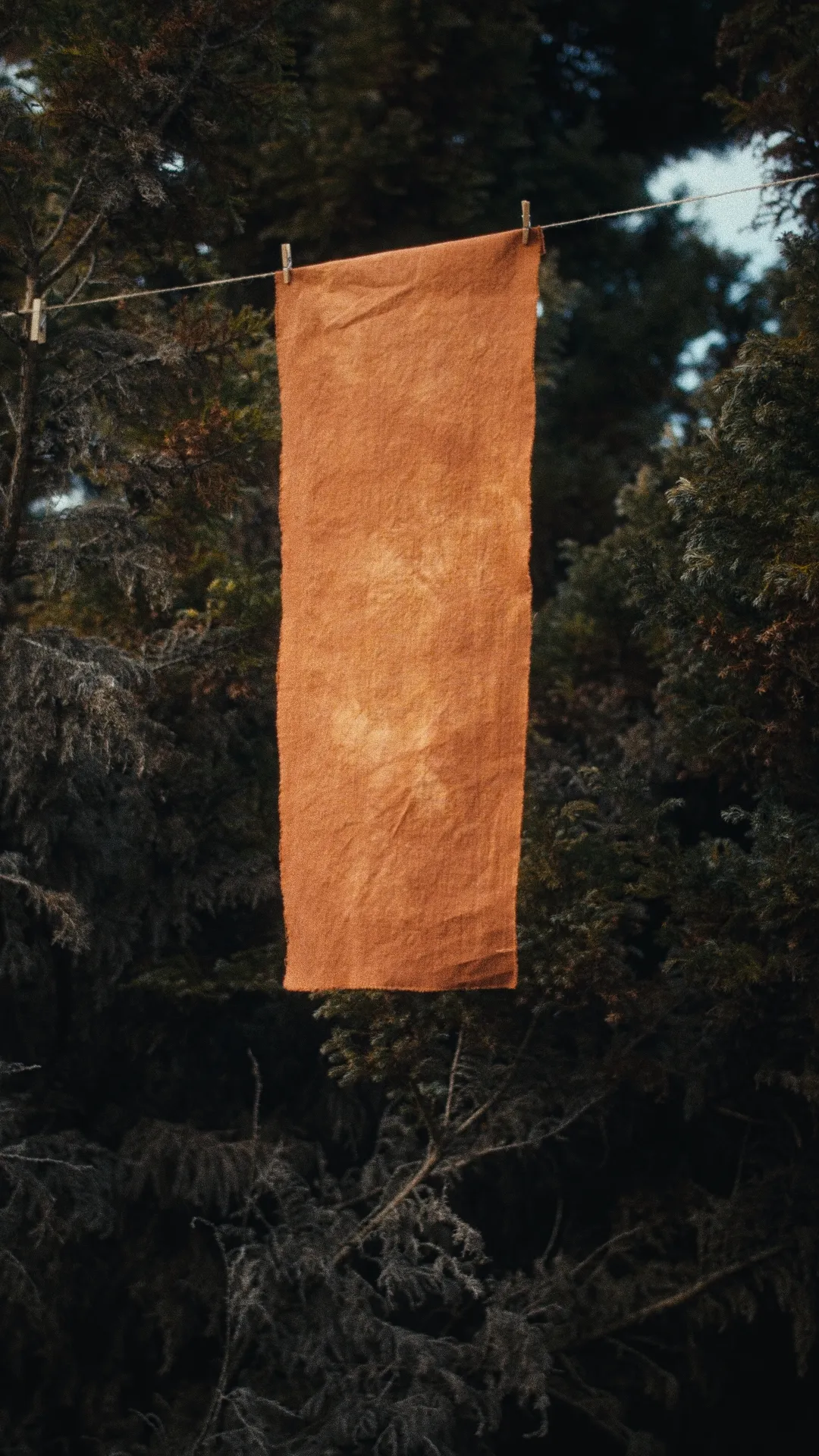 22x58